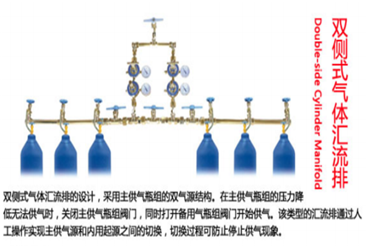 雙側式氣體匯流排